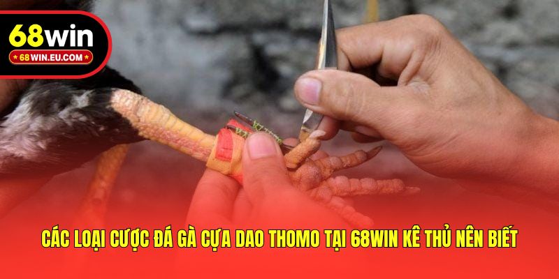 Các Loại Cược Đá Gà Cựa Dao Thomo Tại 68win Kê Thủ Nên Biết