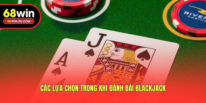 Các lựa chọn trong khi đánh bài Blackjack