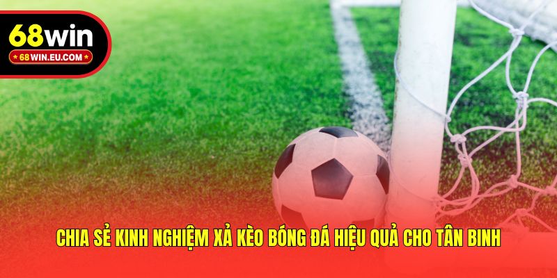Chia sẻ kinh nghiệm xả kèo bóng đá hiệu quả cho tân binh