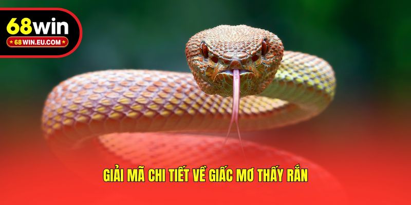 Giải mã chi tiết về giấc mơ thấy rắn