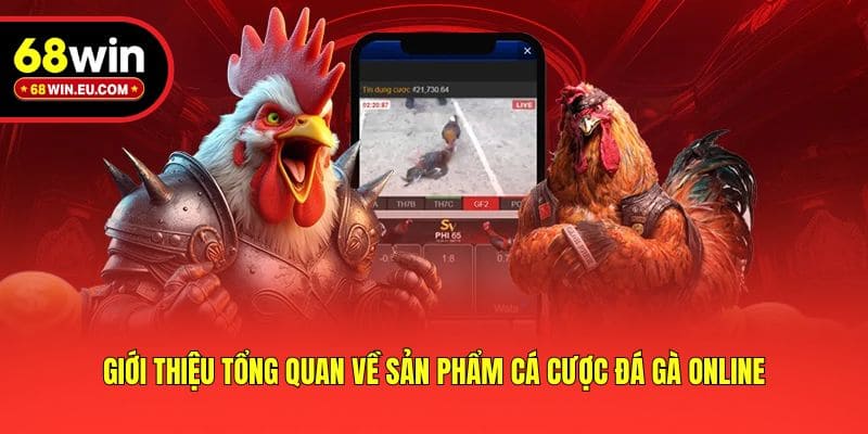Giới thiệu tổng quan về sản phẩm cá cược đá gà online