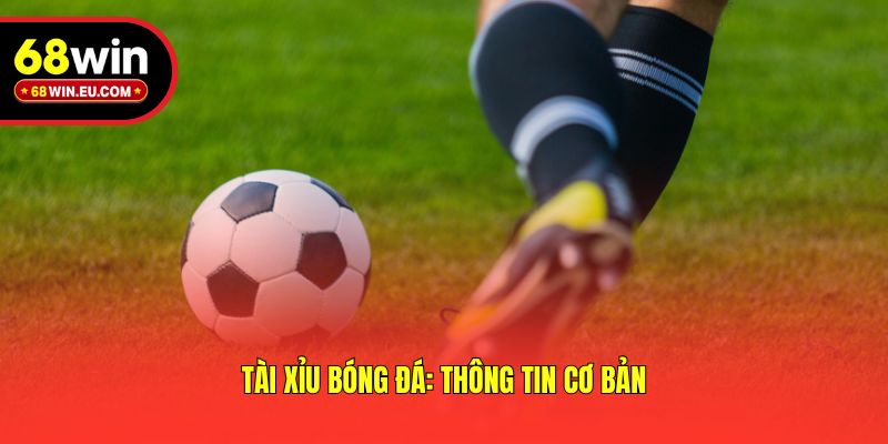 Tài Xỉu Bóng Đá: Thông Tin Cơ Bản