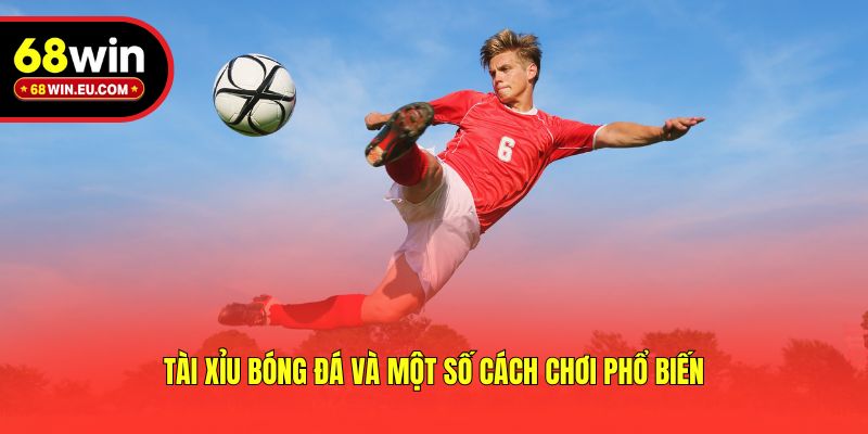 Tài Xỉu Bóng Đá Và Một Số Cách Chơi Phổ Biến