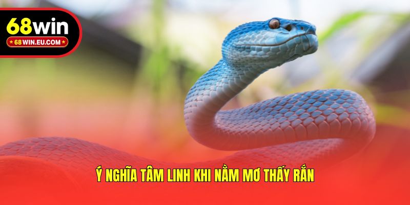 Ý nghĩa tâm linh khi nằm mơ thấy rắn